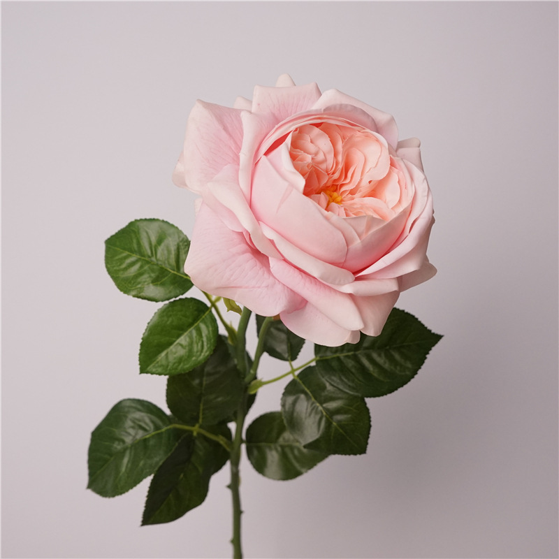 3pcs Moisturizing Rose Simulat - مراجعة Photography Lighting Simulation وسعره