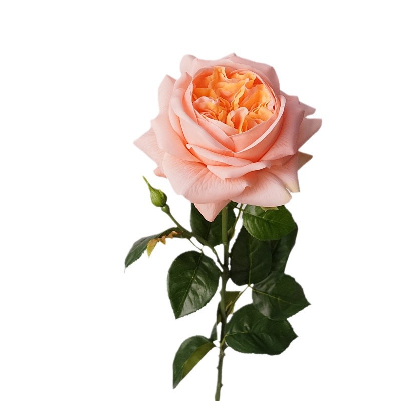 3pcs Moisturizing Rose Simulat - مراجعة Photography Lighting Simulation وسعره