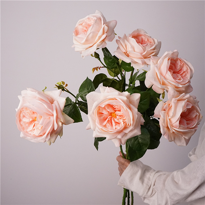 3pcs Moisturizing Rose Simulat - مراجعة Photography Lighting Simulation وسعره