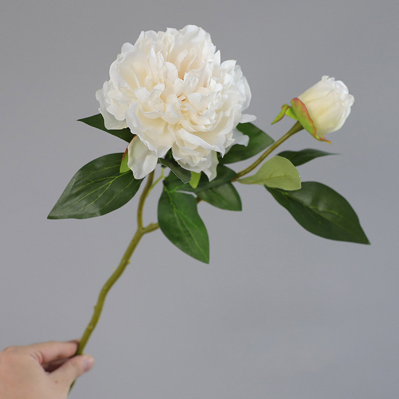 1PC Retro 2 Head Peony Simulat - مراجعة Photography Lighting Simulation وسعره