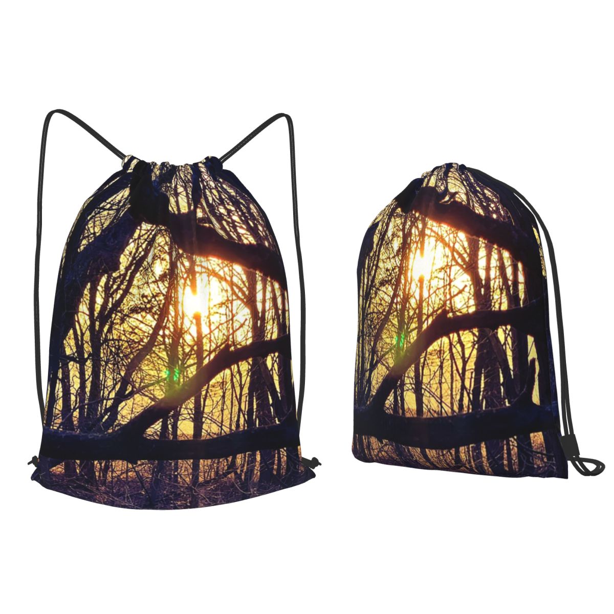 Forest Light At Sunset Nature  - مراجعة Lighting In Photography Book وسعره