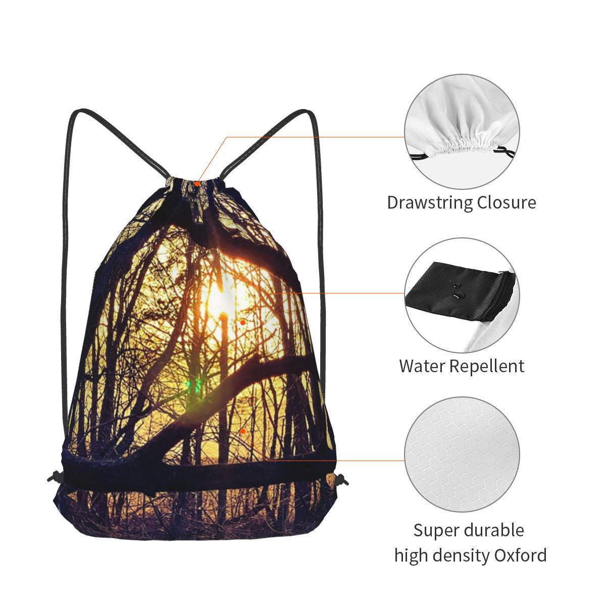 Forest Light At Sunset Nature  - مراجعة Lighting In Photography Book وسعره